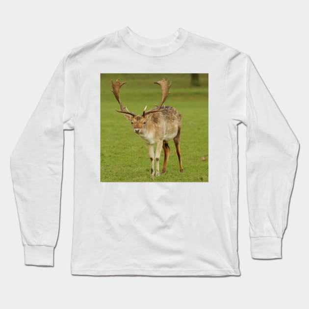 fallow deer stag Long Sleeve T-Shirt by Simon-dell